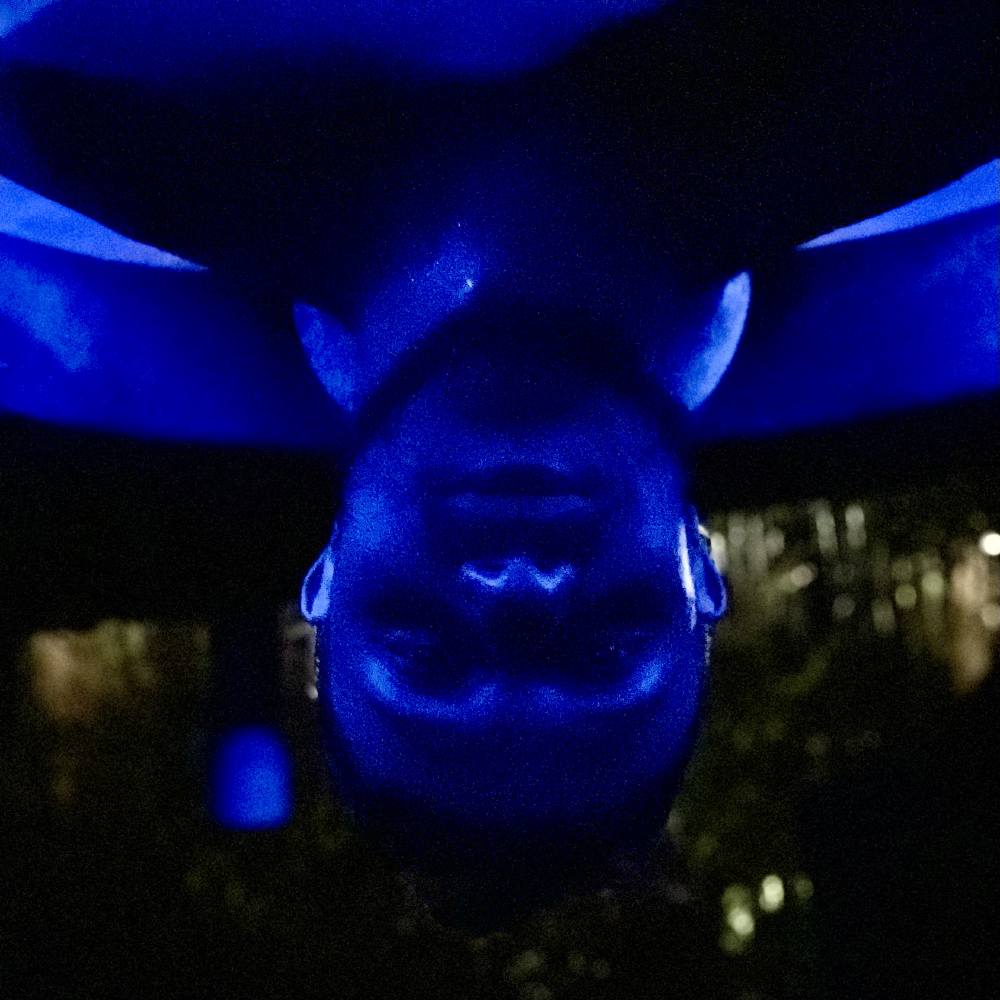bluebinduimage.png