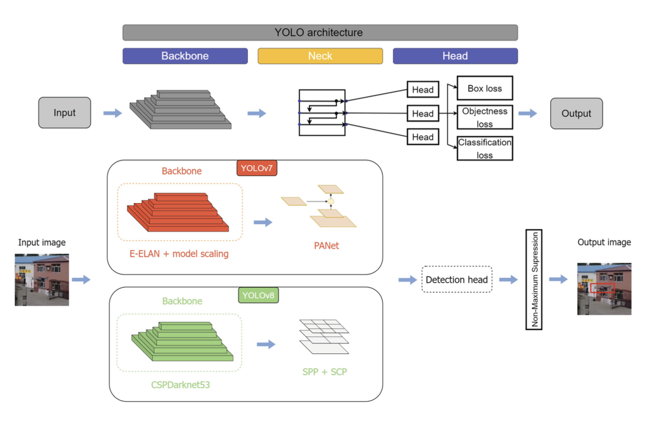 YOLOv7 and YOLOv8 architecture